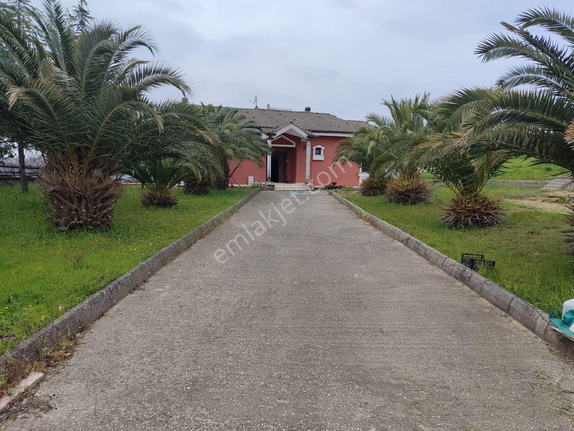 Yalova Kazimiye Köyünde Emsalsiz 3.952 M2 Arsa İçinde Villa - Görsel 32