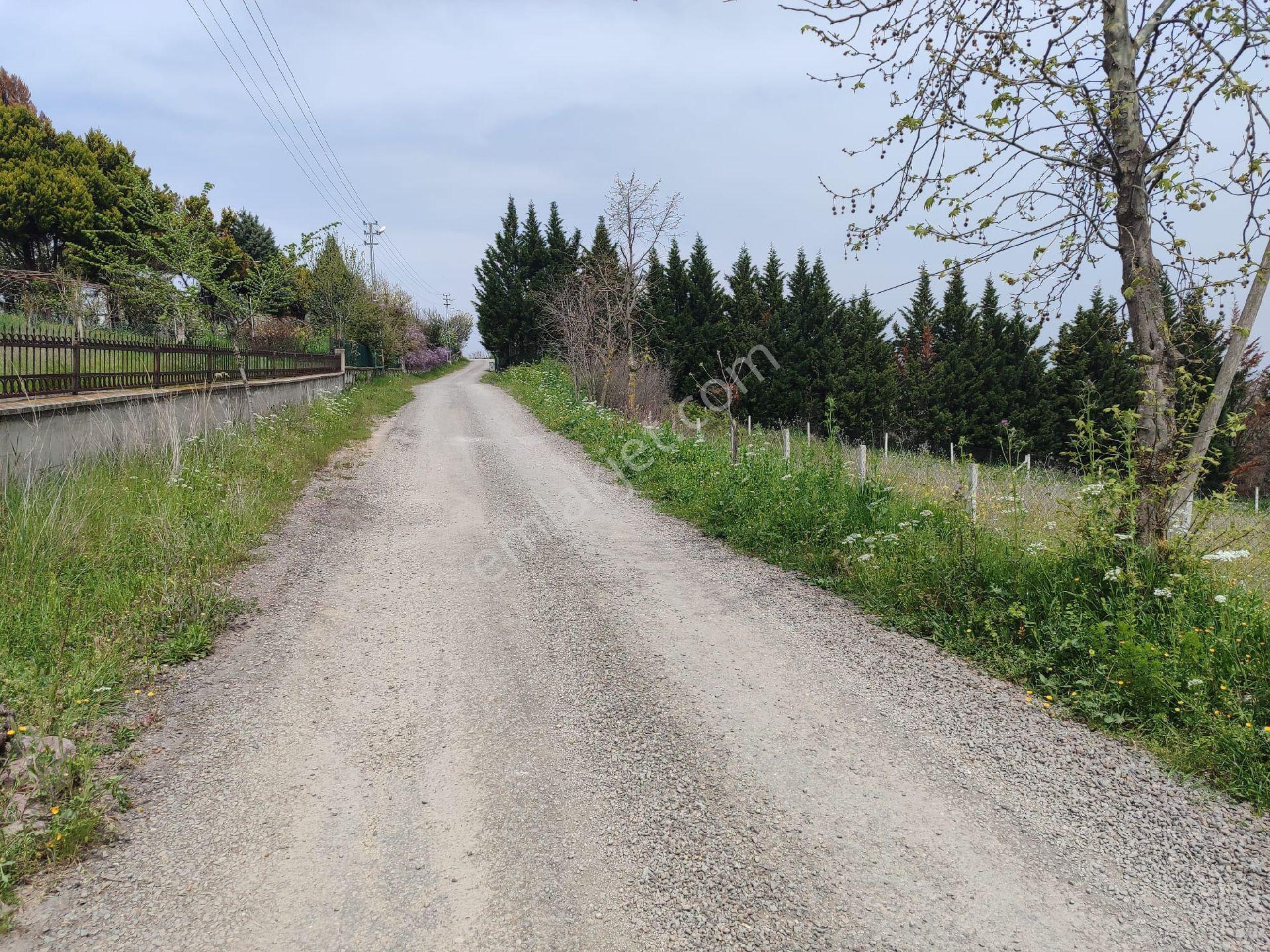 Yalova Kazimiye Köyünde Emsalsiz 3.952 M2 Arsa İçinde Villa - Görsel 30