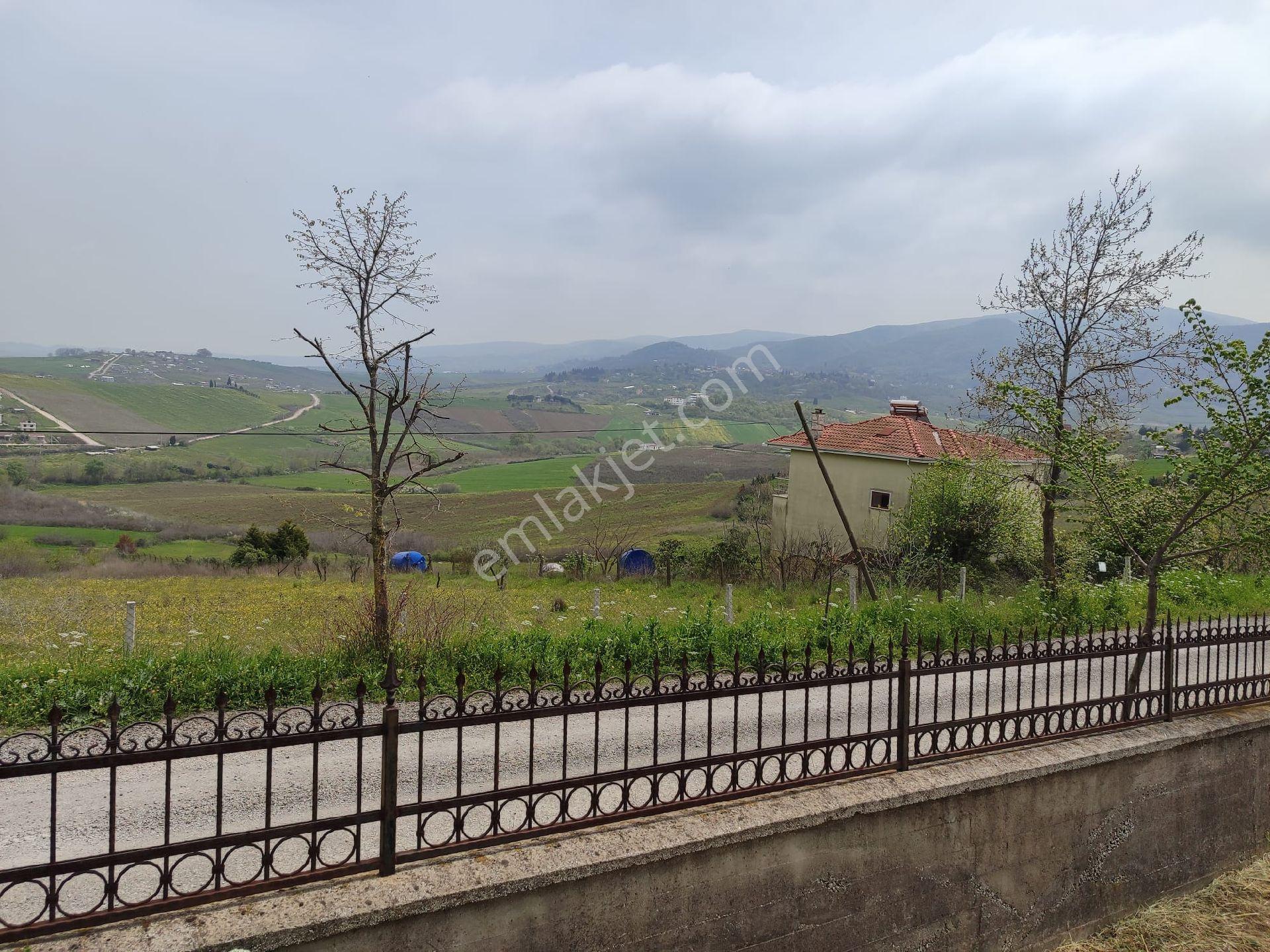 Yalova Kazimiye Köyünde Emsalsiz 3.952 M2 Arsa İçinde Villa - Görsel 37