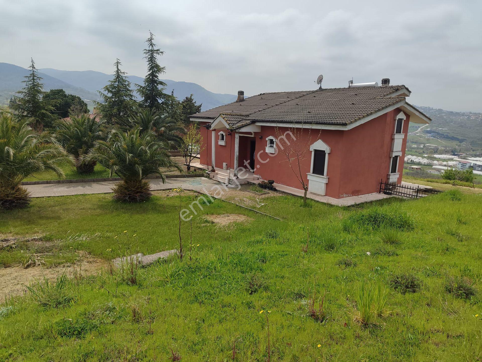 Yalova Kazimiye Köyünde Emsalsiz 3.952 M2 Arsa İçinde Villa - Görsel 7