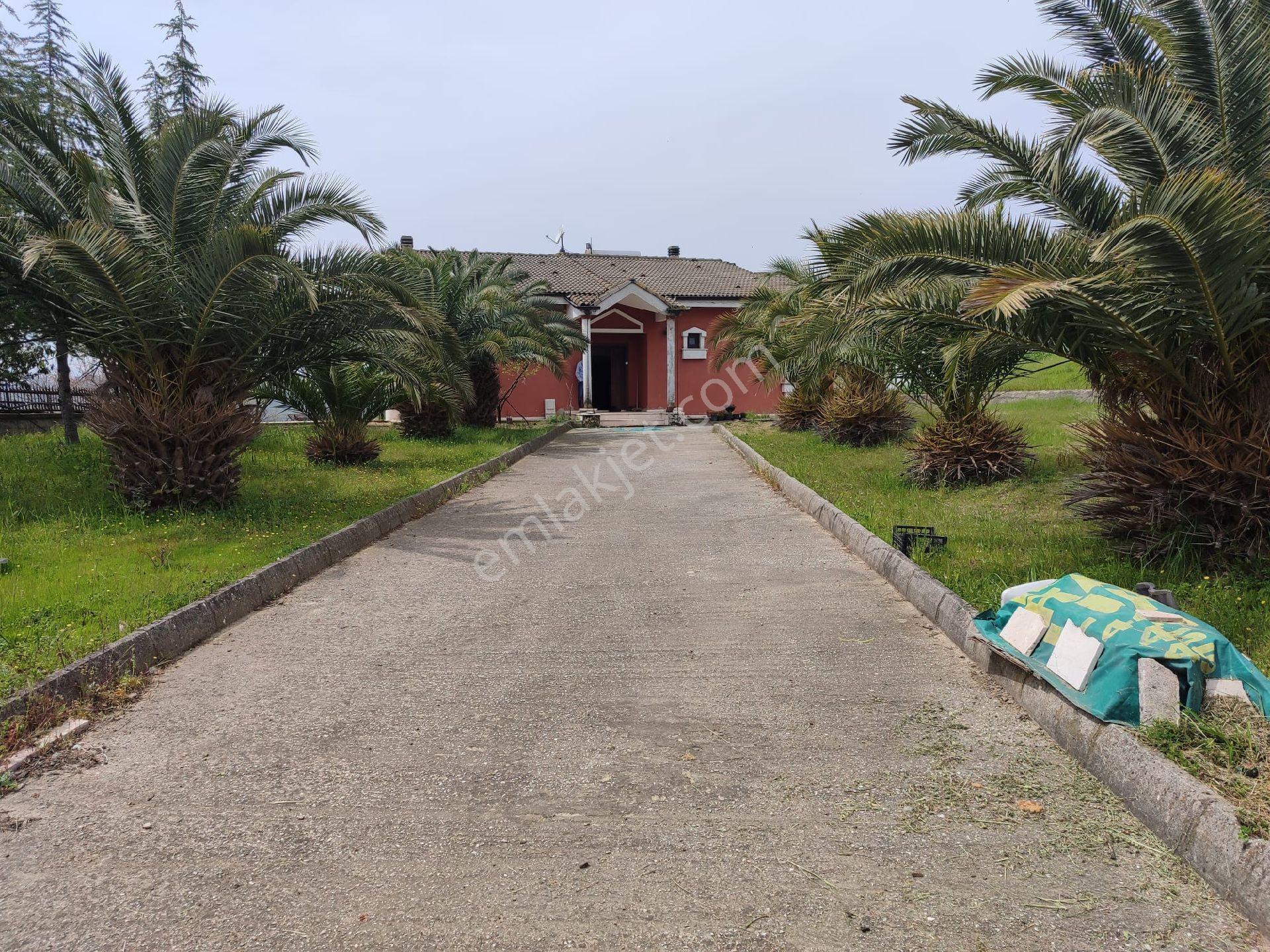 Yalova Kazimiye Köyünde Emsalsiz 3.952 M2 Arsa İçinde Villa - Görsel 35