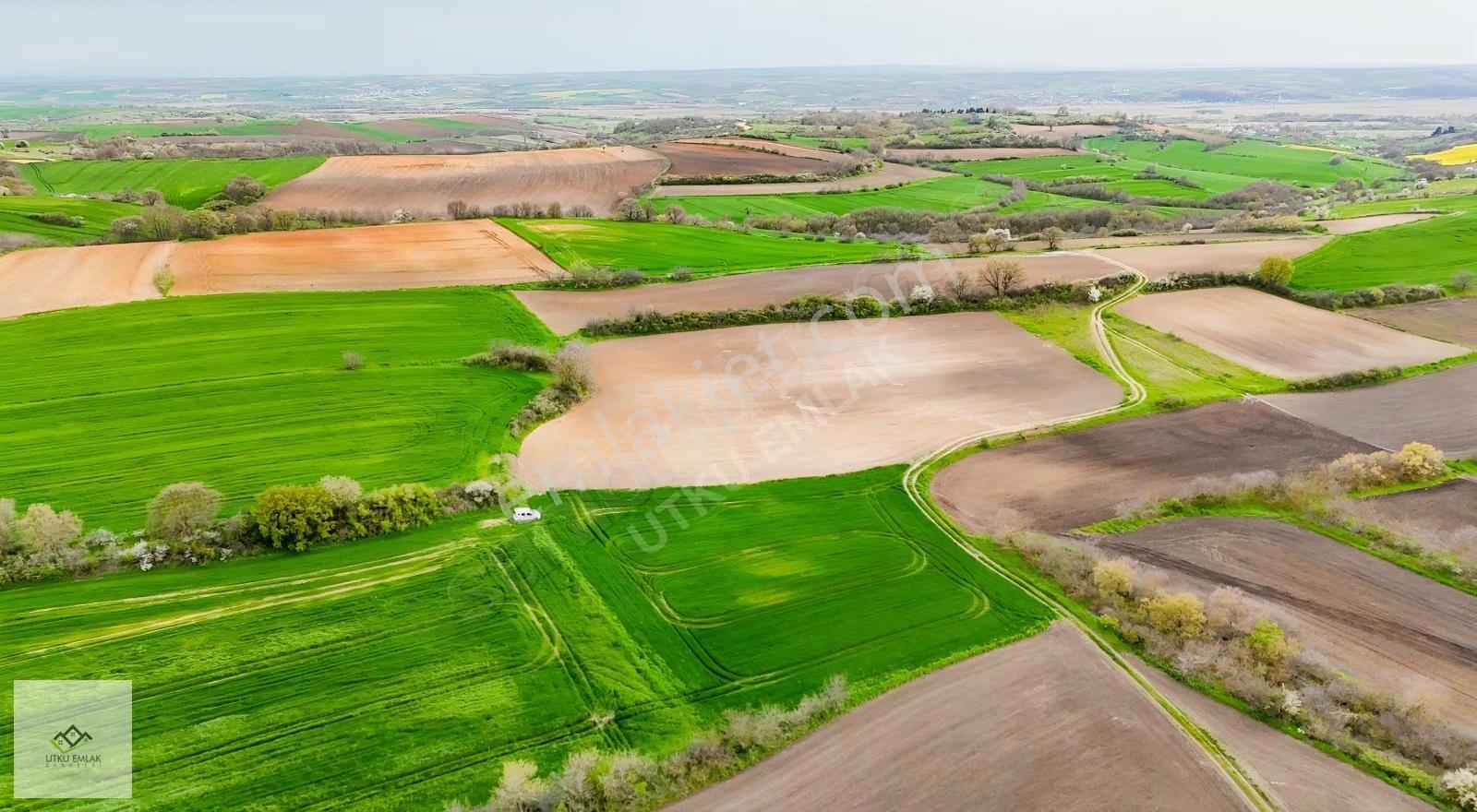 Pehlivanköy Tilkipınar Da 4850 M2 Satılık Tarla - Görsel 3
