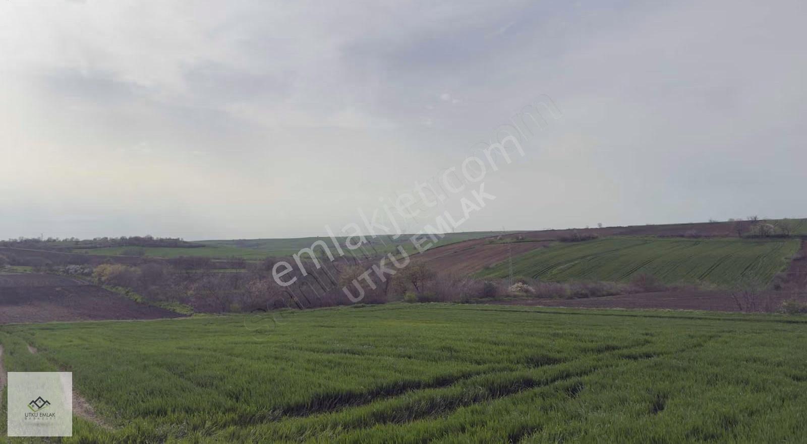 Pehlivanköy Tilkipınar Da 4850 M2 Satılık Tarla - Görsel 5