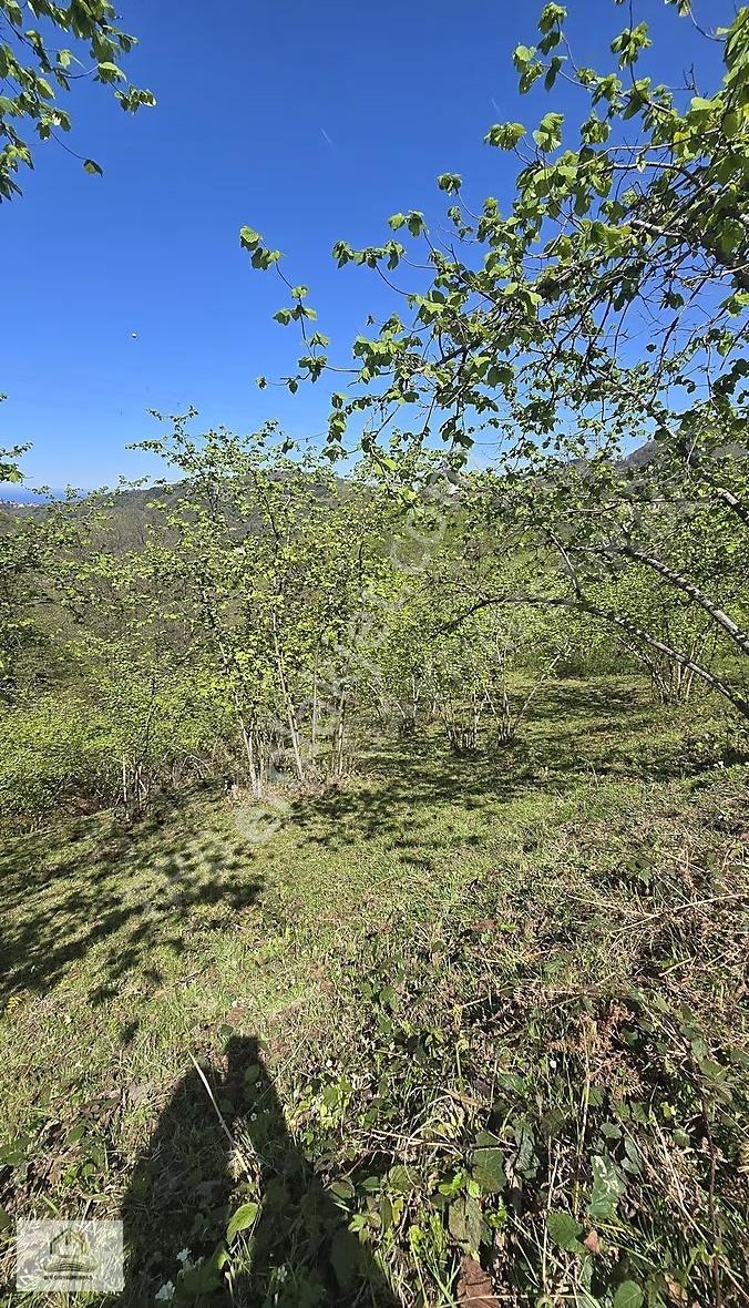Yomra Şanlı'da Deniz Manzaralı Satılık Arsa (7035m²) - Görsel 6