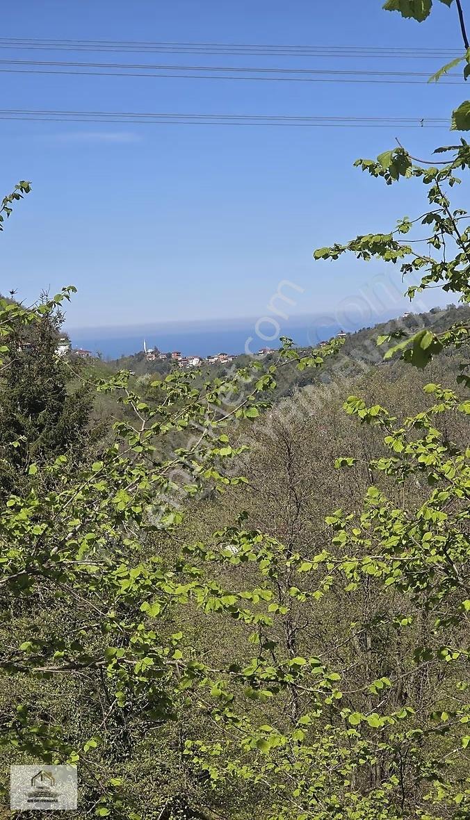 Yomra Şanlı'da Deniz Manzaralı Satılık Arsa (7035m²) - Görsel 8