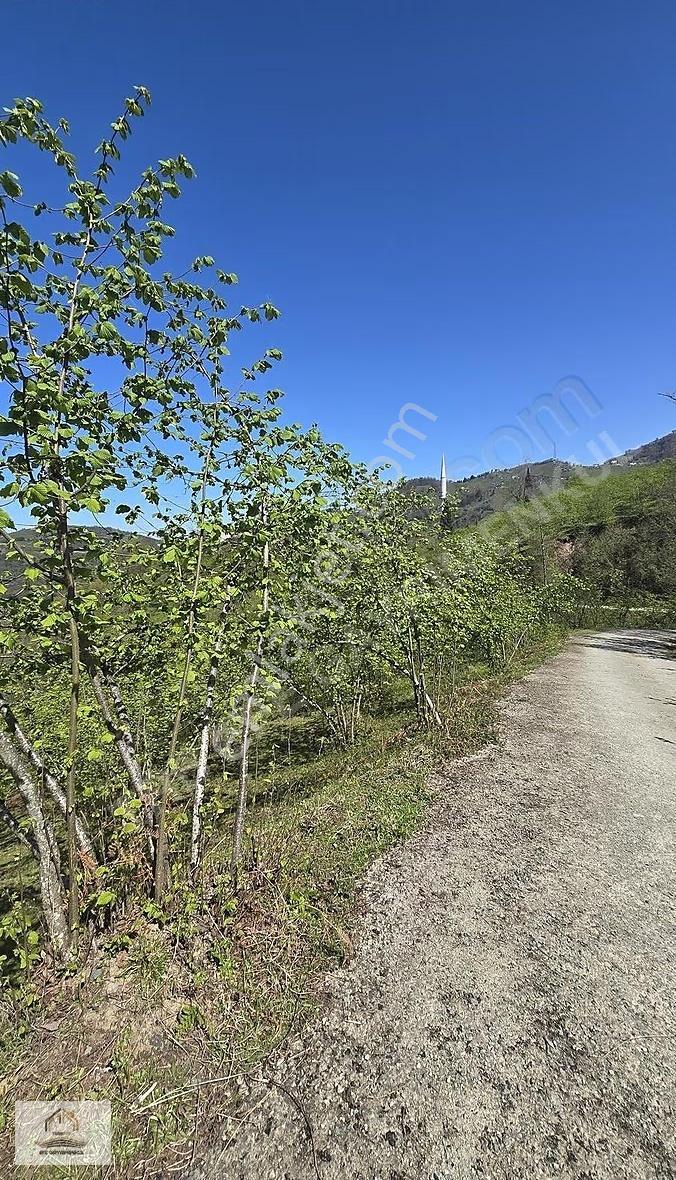 Yomra Şanlı'da Deniz Manzaralı Satılık Arsa (7035m²) - Görsel 5
