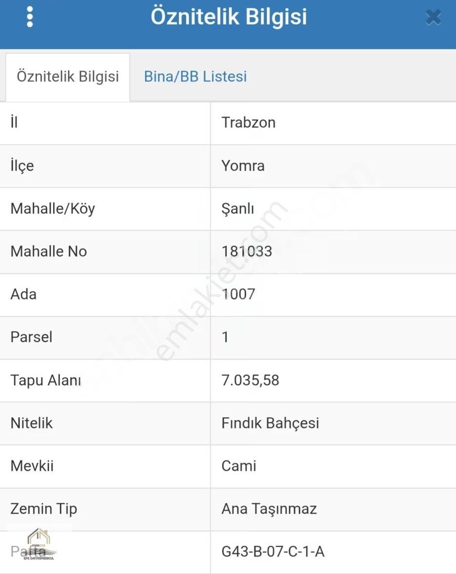 Yomra Şanlı'da Deniz Manzaralı Satılık Arsa (7035m²) - Görsel 4