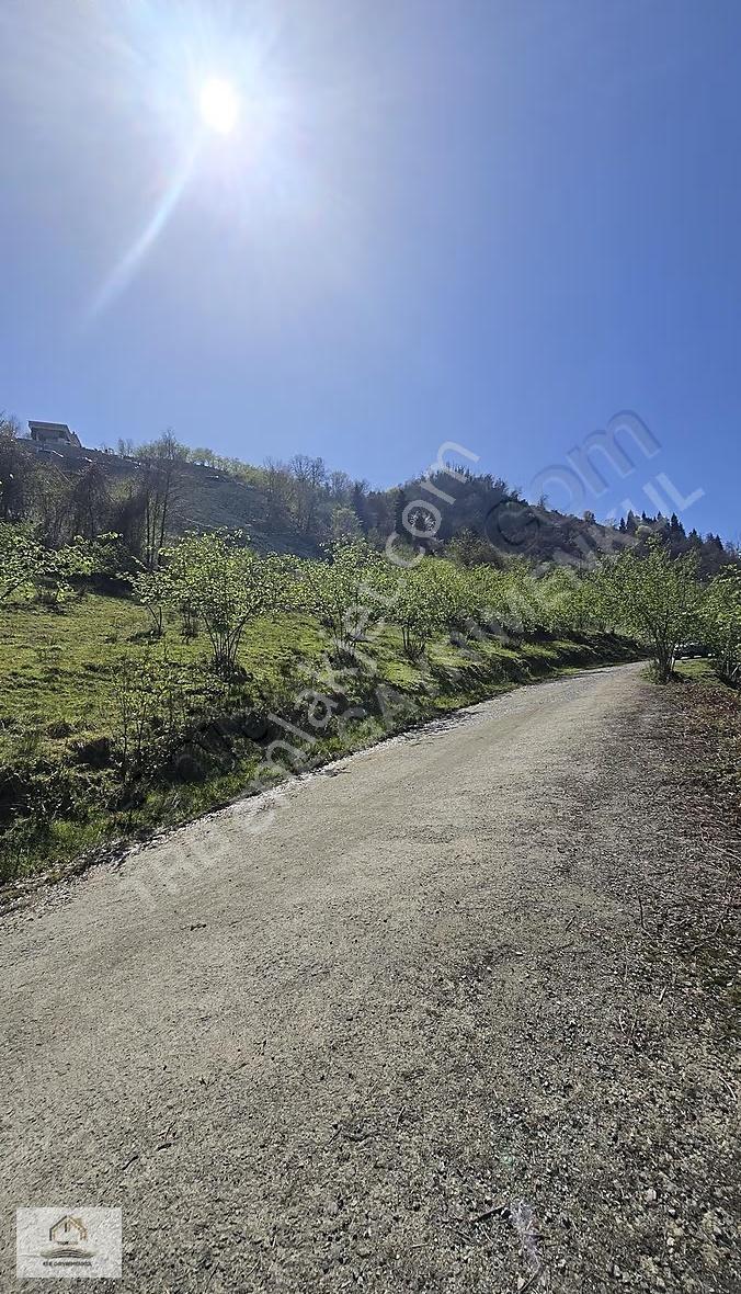 Yomra Şanlı'da Deniz Manzaralı Satılık Arsa (7035m²) - Görsel 3