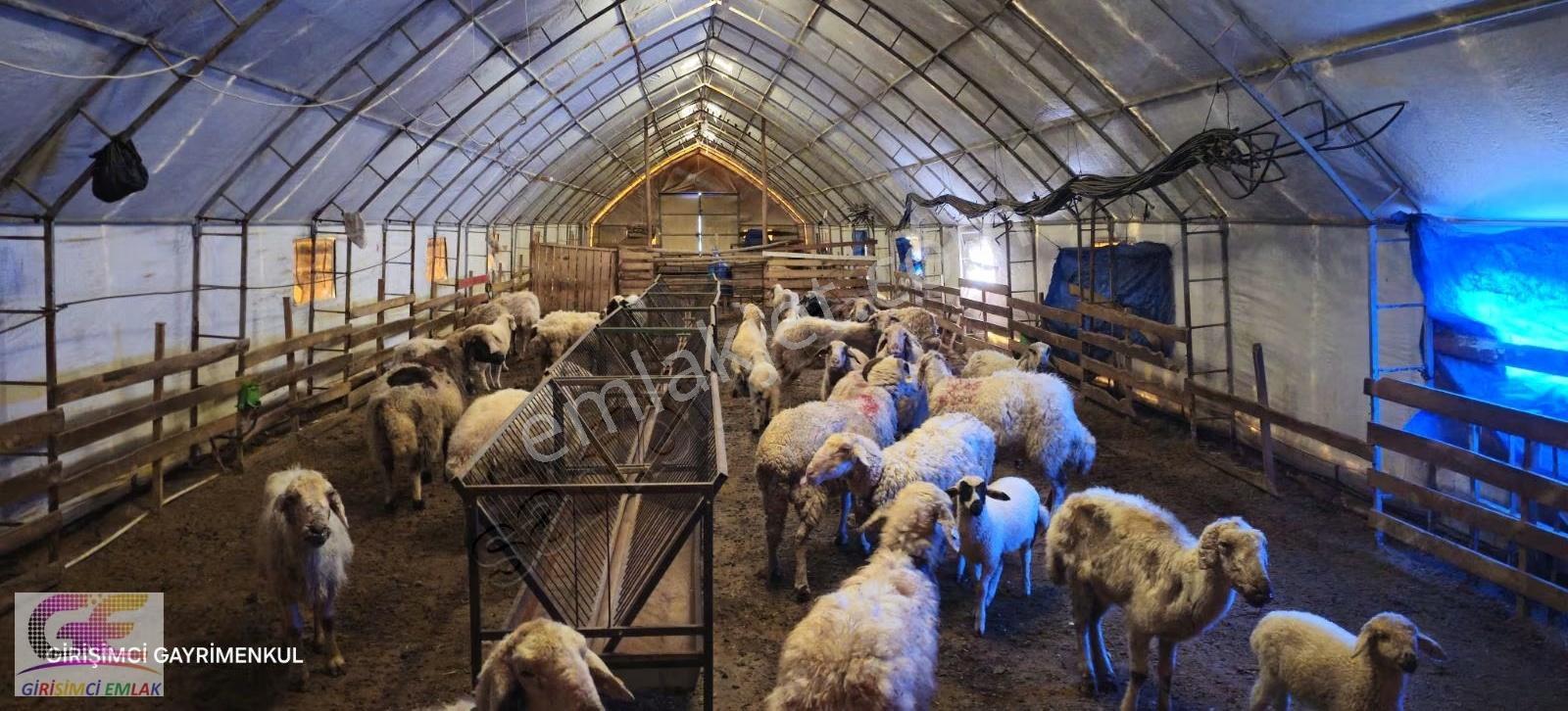 Bu Fırsat Kaçarsa Başka Bulamazsın - Görsel 12