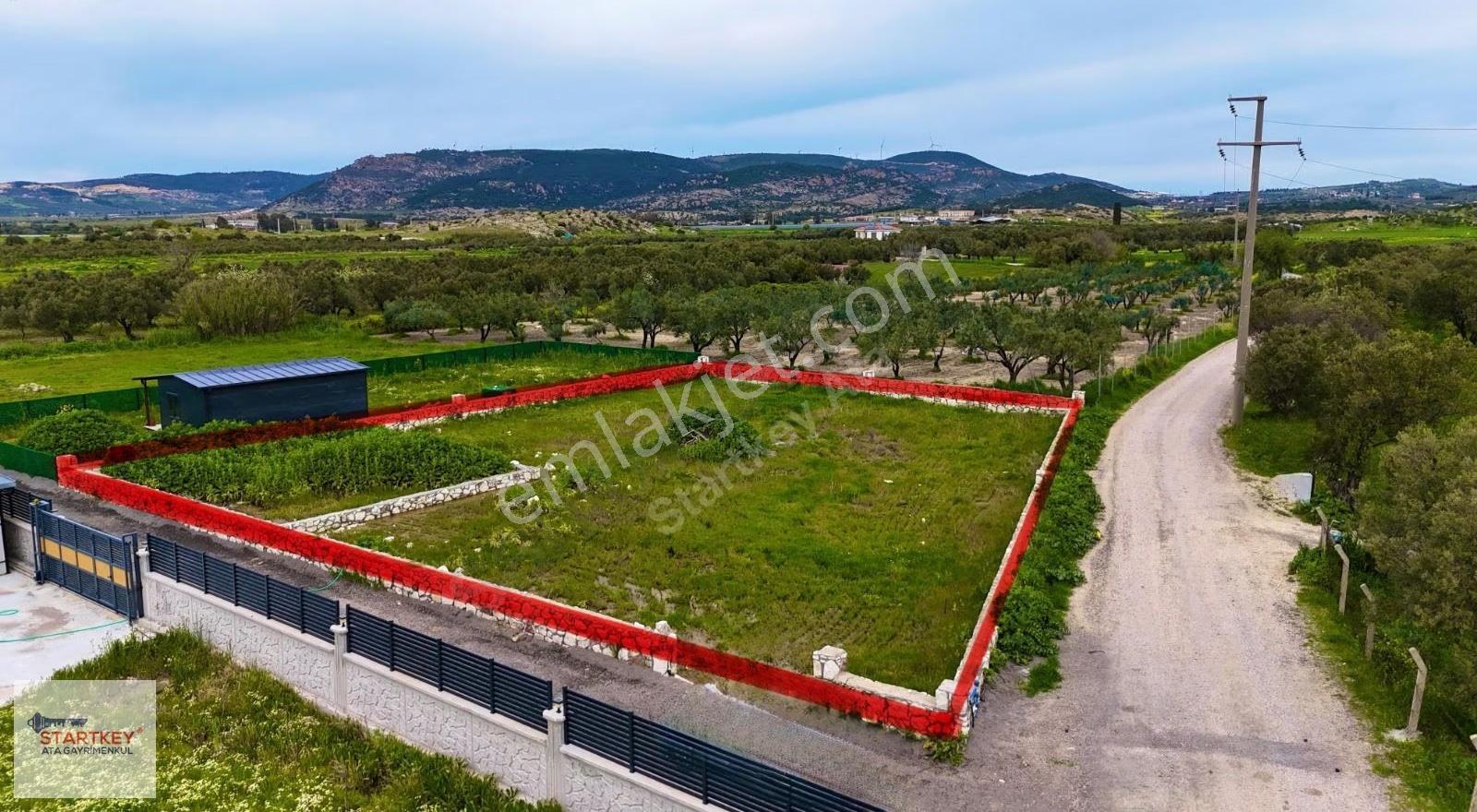Foça Gerenköy 'de 871 M2 Satılık Bağ - Görsel 2
