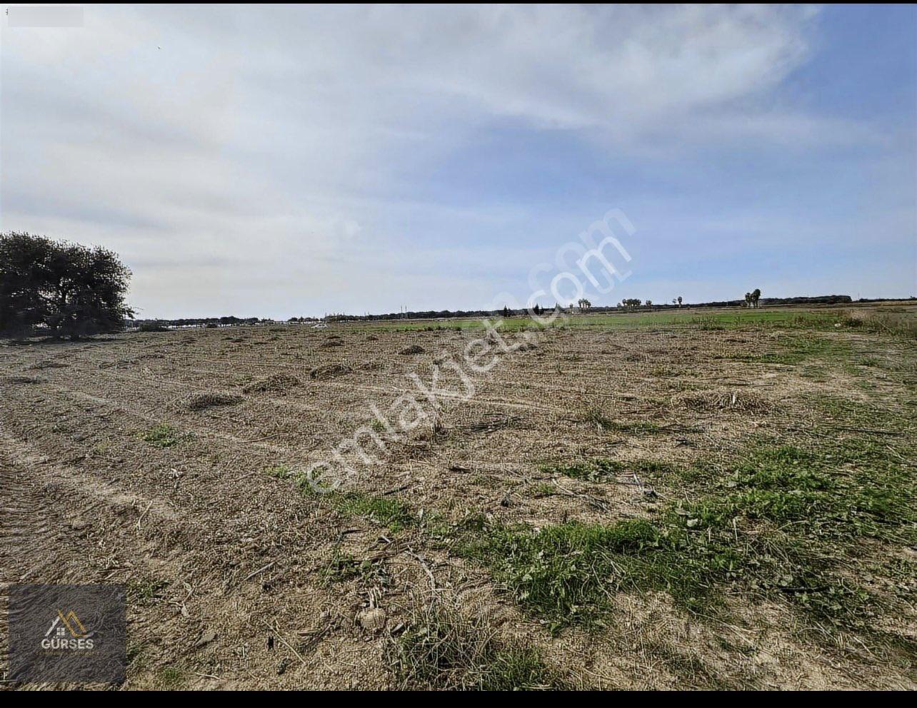 Antalya / Manavgat / Seydiler Mahallesi 3.687 M² Turizm Tesis Alanı – Otel İmarlı Arsa - Görsel 2