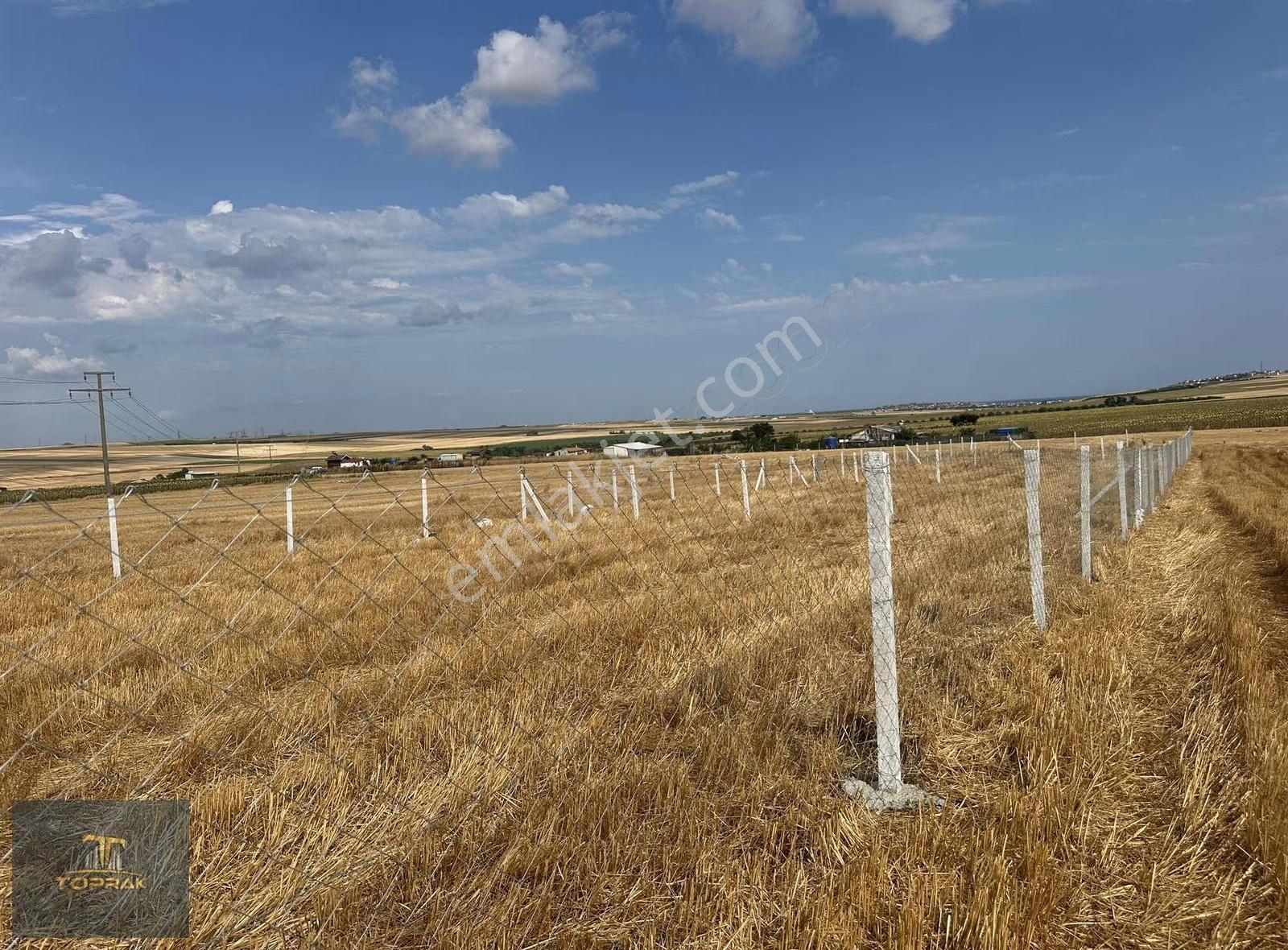 Tekirdağ Marmaraereğlisinde Satılık Parseller Toprak Arsa Ofisi - Görsel 3