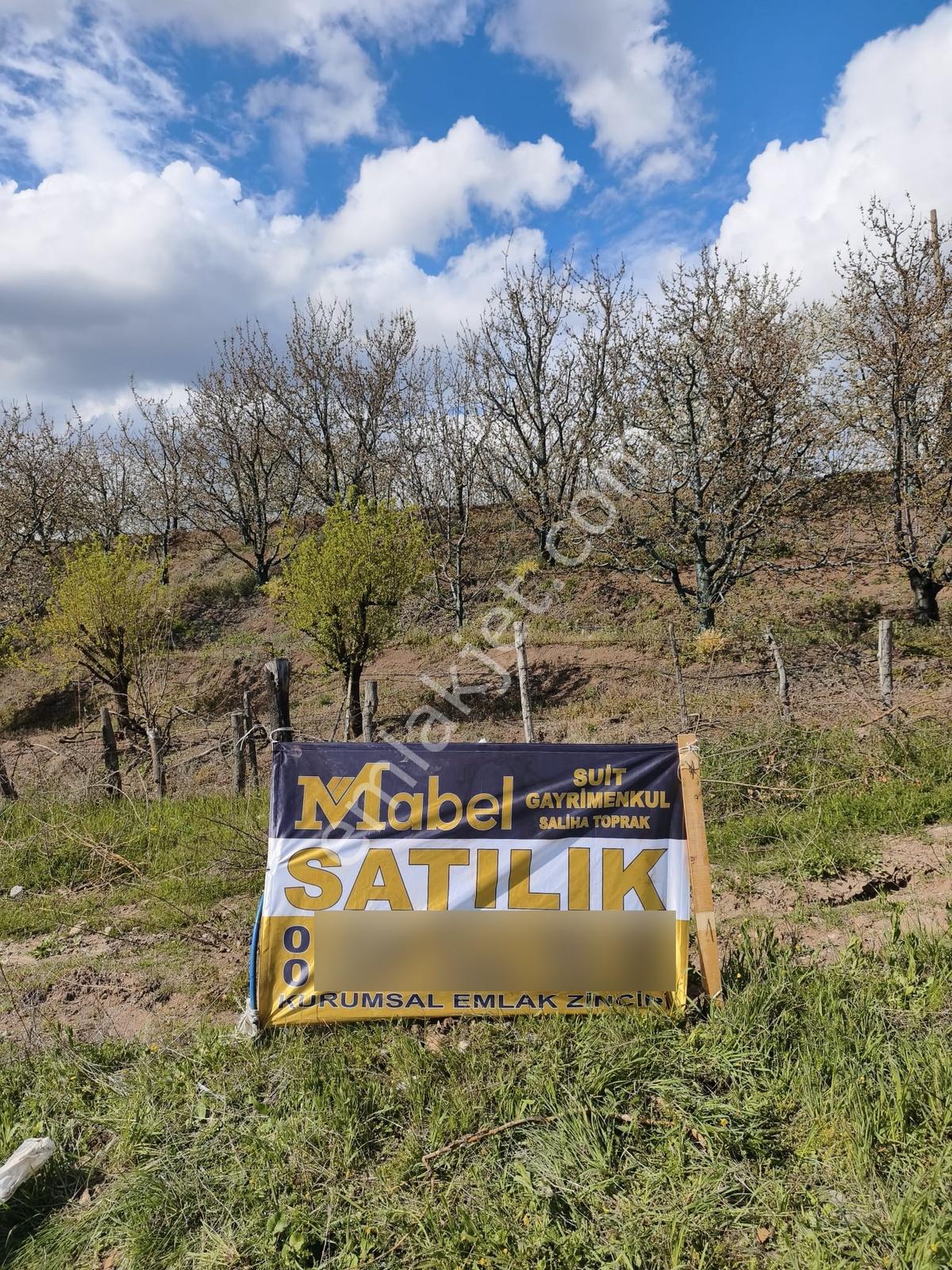 Mabelden Fırsat Geleceğe Yatırım Genç Yaşta Satılıkkiraz Bahçesi - Görsel 3