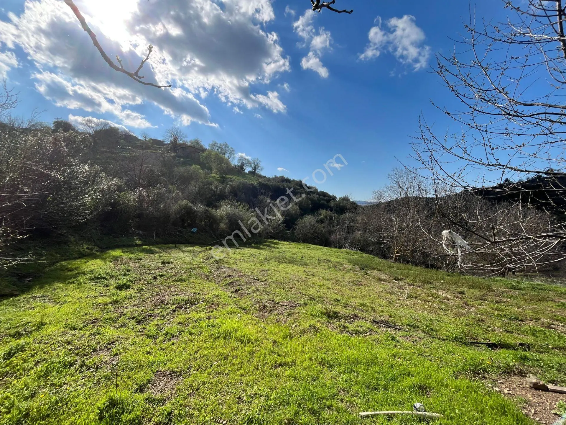 Kazdağları Eteklerinde Yatırımlık Fırsat! 903 M² Satılık Bahçe - Görsel 3