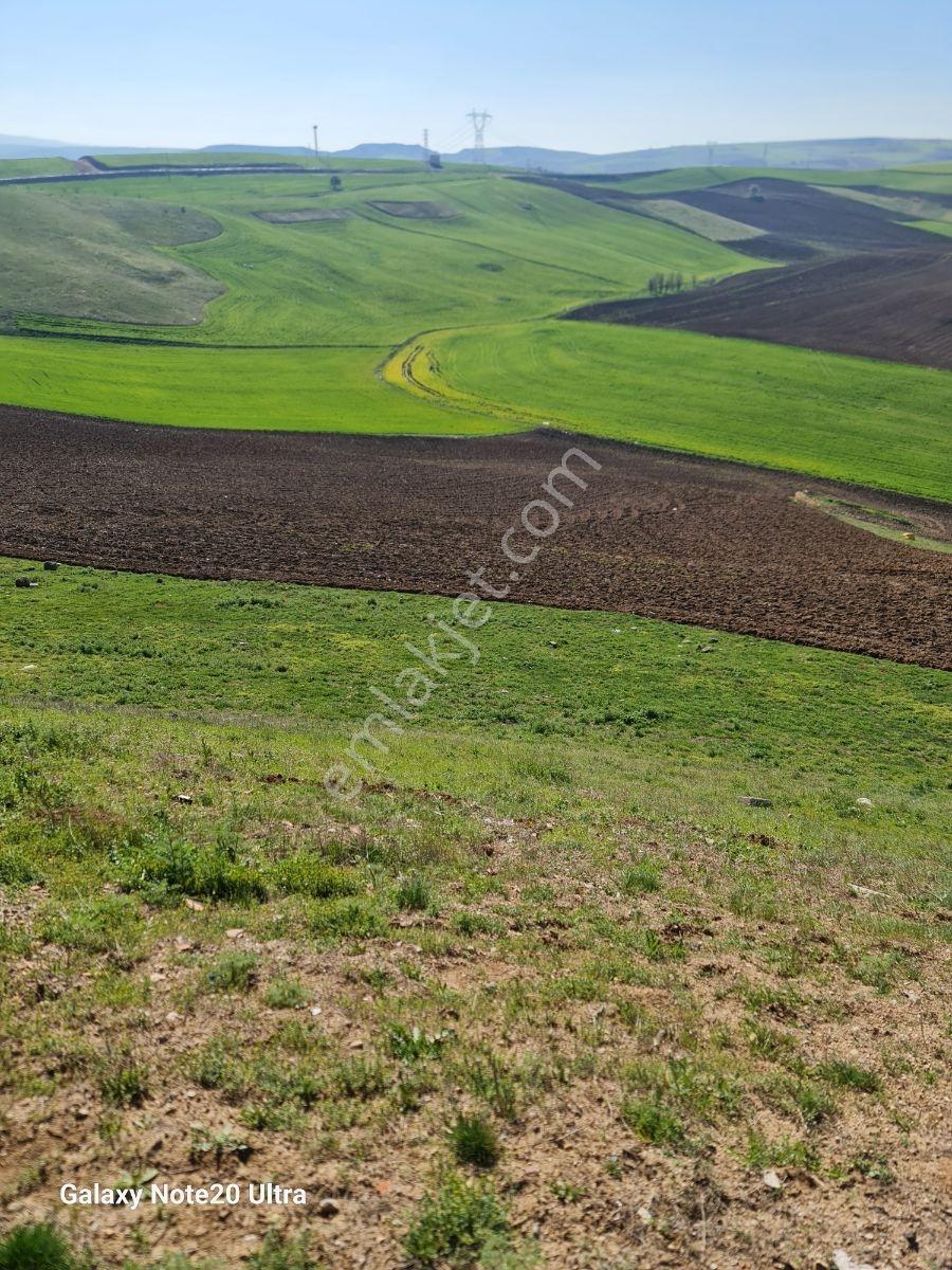 Satılık İmarlı Arsa 947 M2 Yuksek Katlı - Görsel 15