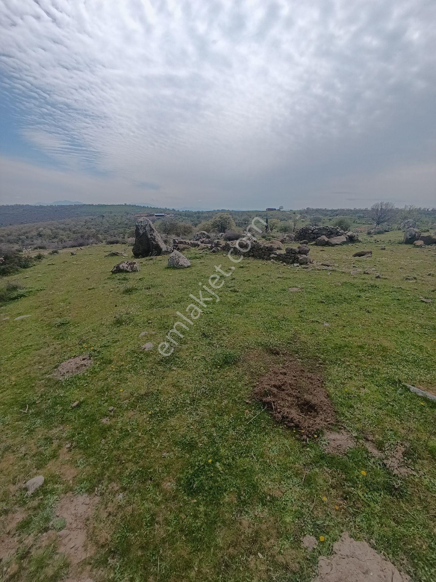 Çamtepe Köyünde Yola Sıfır Hayvancılık - Görsel 9
