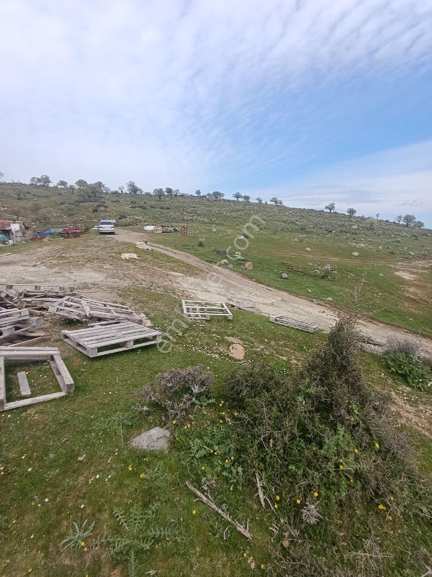 Çamtepe Köyünde Yola Sıfır Hayvancılık - Görsel 11