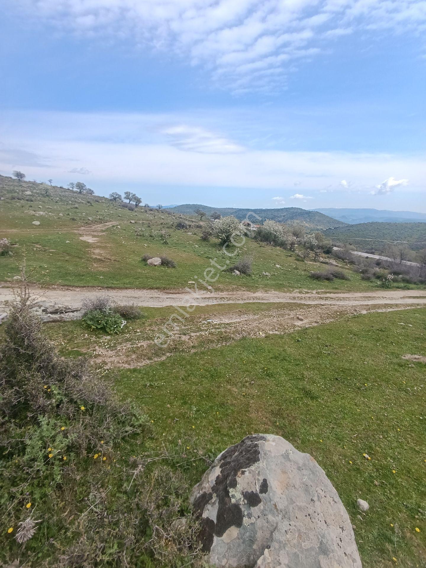Çamtepe Köyünde Yola Sıfır Hayvancılık - Görsel 7