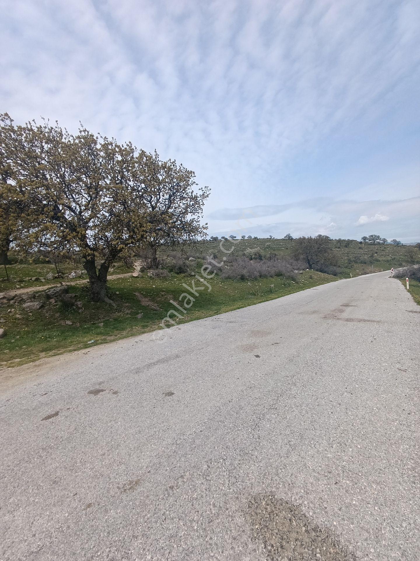 Çamtepe Köyünde Yola Sıfır Hayvancılık - Görsel 21
