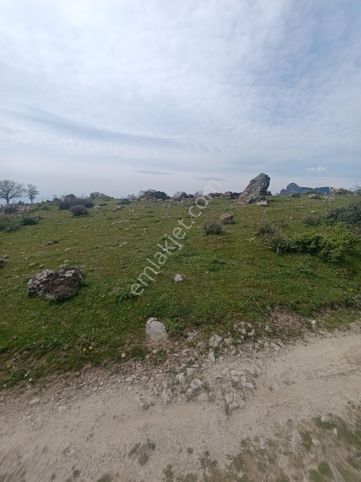 Çamtepe Köyünde Yola Sıfır Hayvancılık - Görsel 2
