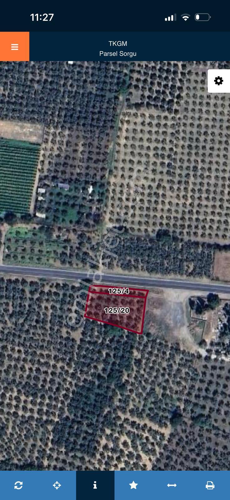 Bursa Orhangazi Yenigürle Mh 5500+1300 M2 Satılık Zeytinlik - Görsel 3
