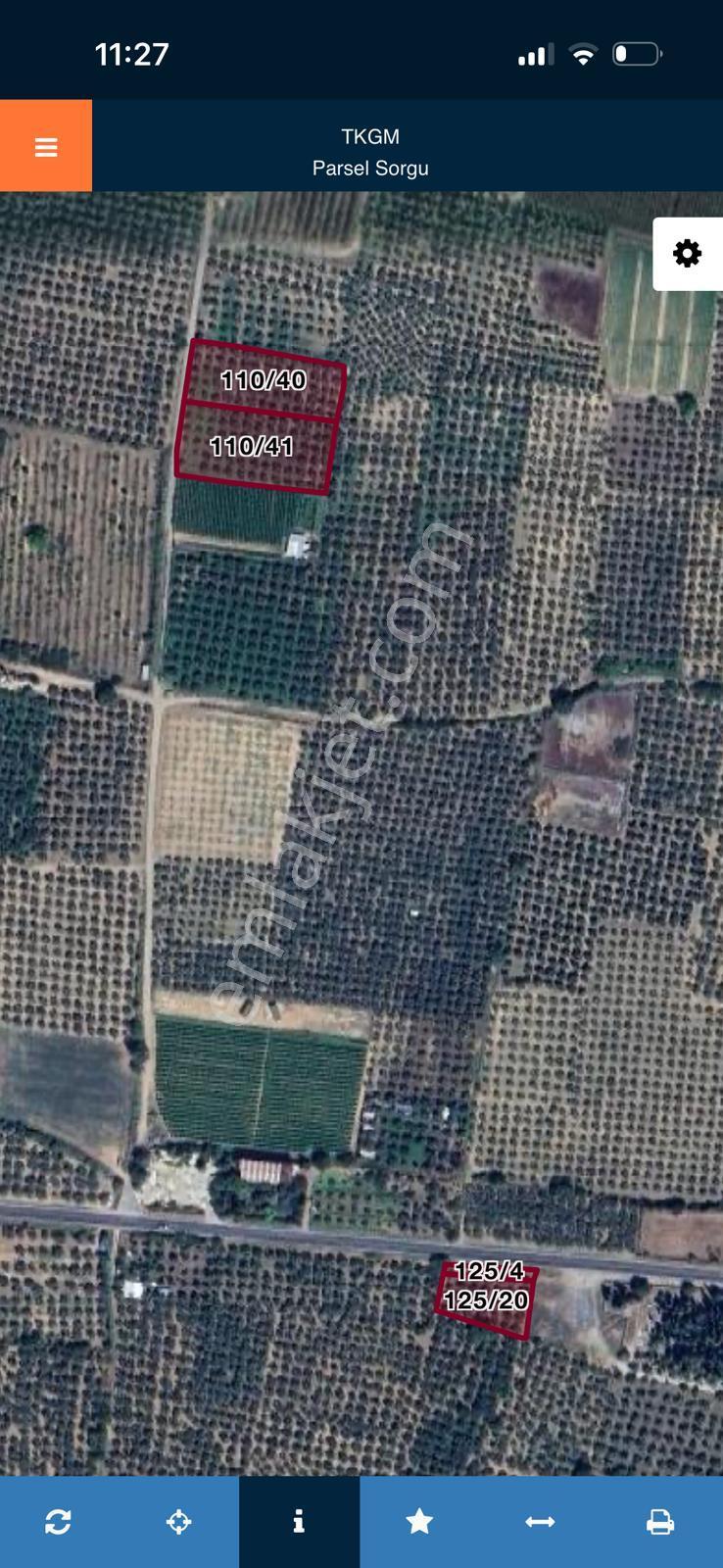 Bursa Orhangazi Yenigürle Mh 5500+1300 M2 Satılık Zeytinlik - Görsel 23