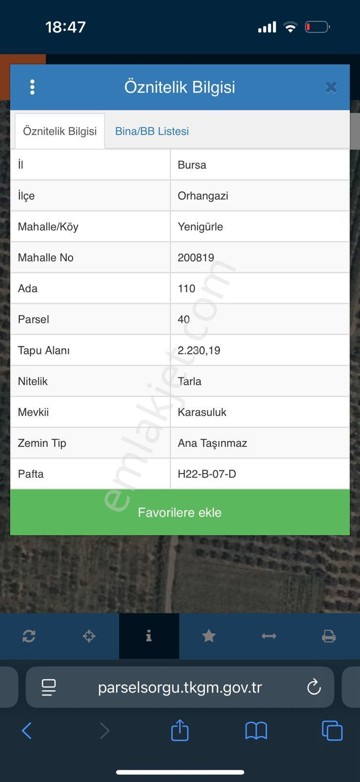 Bursa Orhangazi Yenigürle Mh 5500+1300 M2 Satılık Zeytinlik - Görsel 5