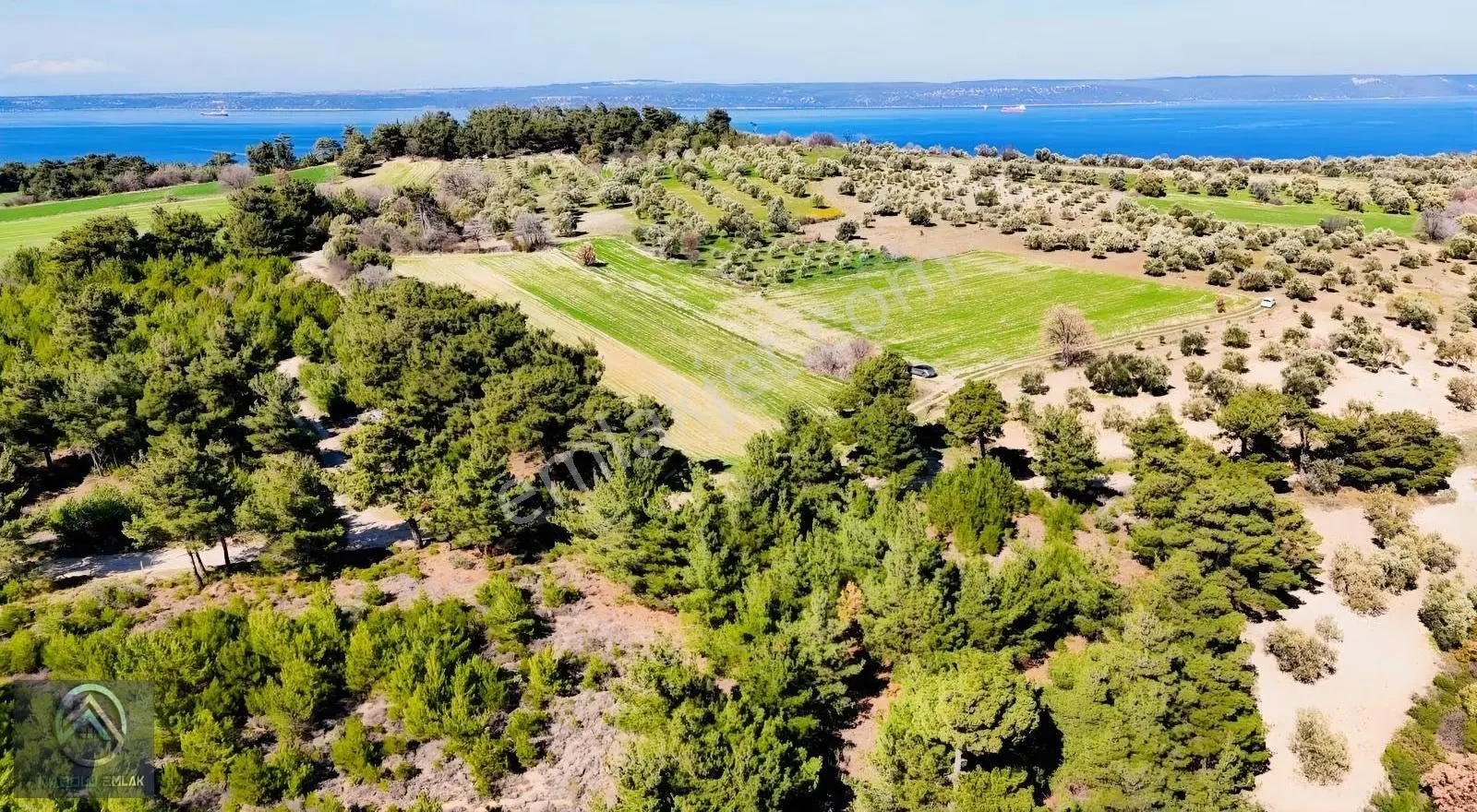 Çanakkale Erenköy'de 980 M² Zeytinlik Tarla - Görsel 12