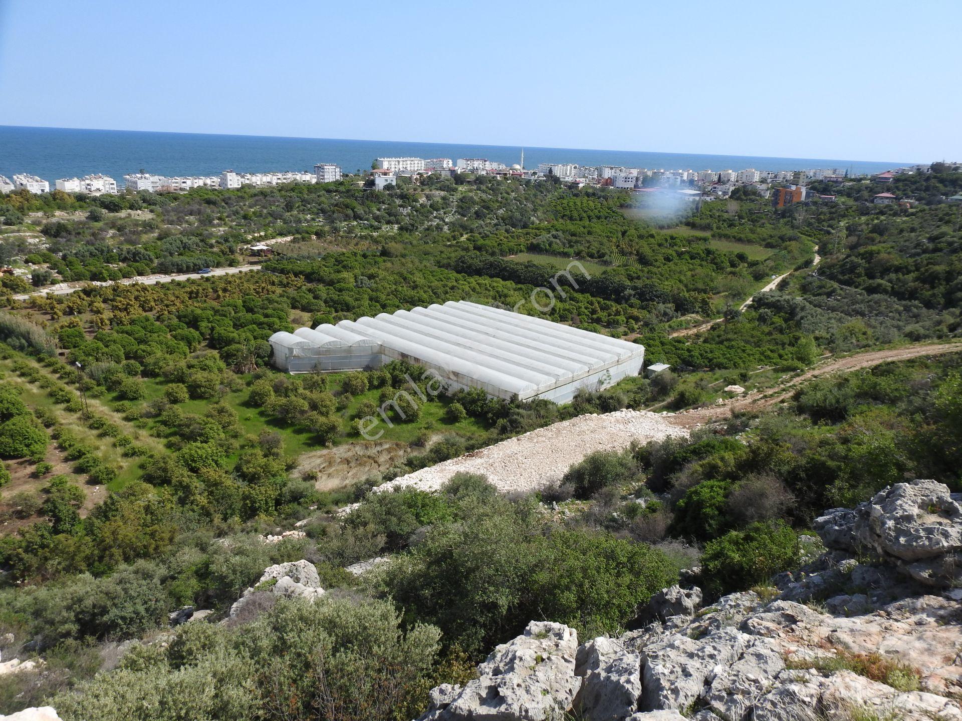 Kumkuyu Da Deniz Manzaralı İmarlı Satılık Arsa - Görsel 6