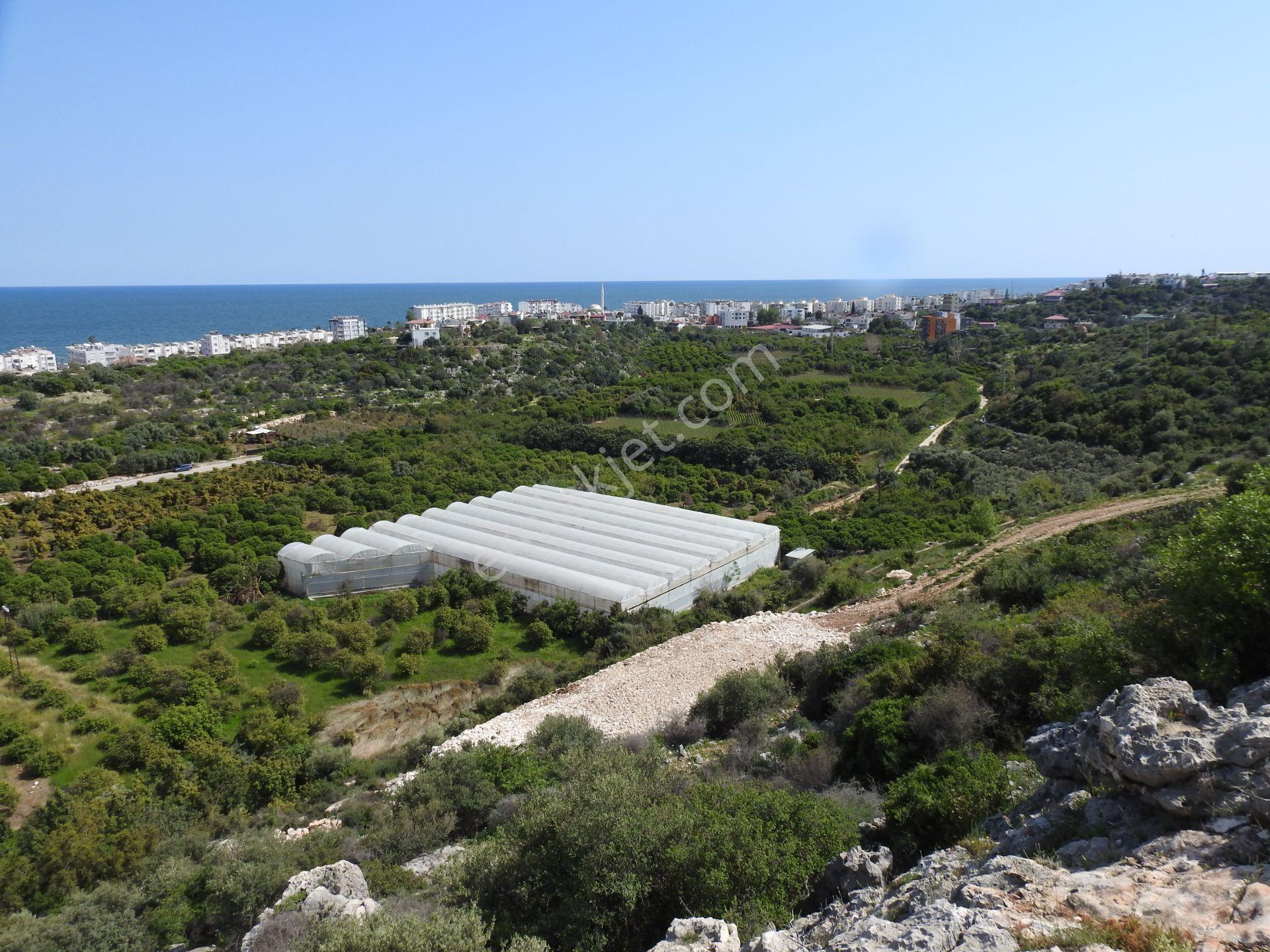 Kumkuyu Da Deniz Manzaralı İmarlı Satılık Arsa - Görsel 12