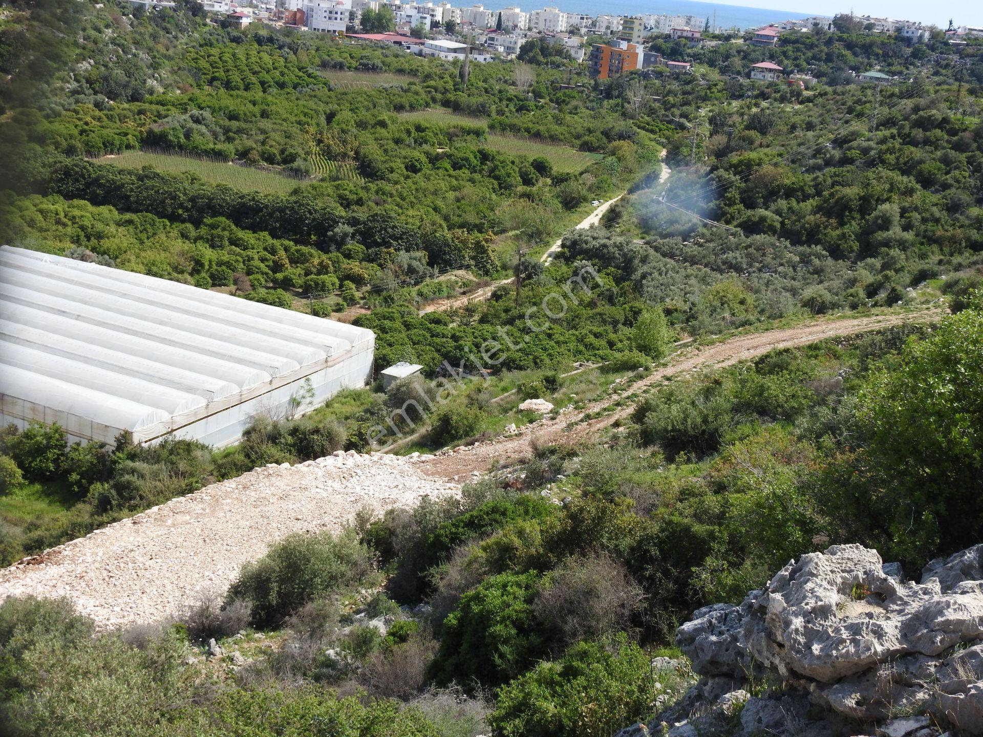 Kumkuyu Da Deniz Manzaralı İmarlı Satılık Arsa - Görsel 20