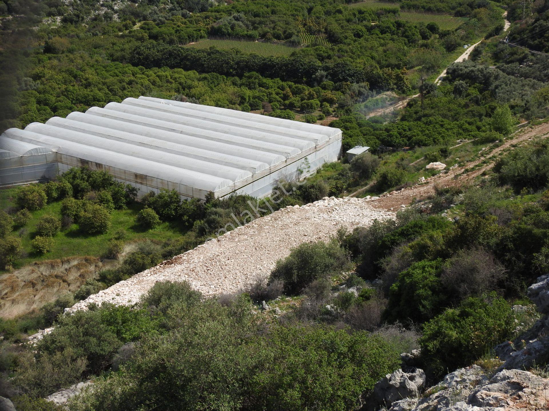 Kumkuyu Da Deniz Manzaralı İmarlı Satılık Arsa - Görsel 13