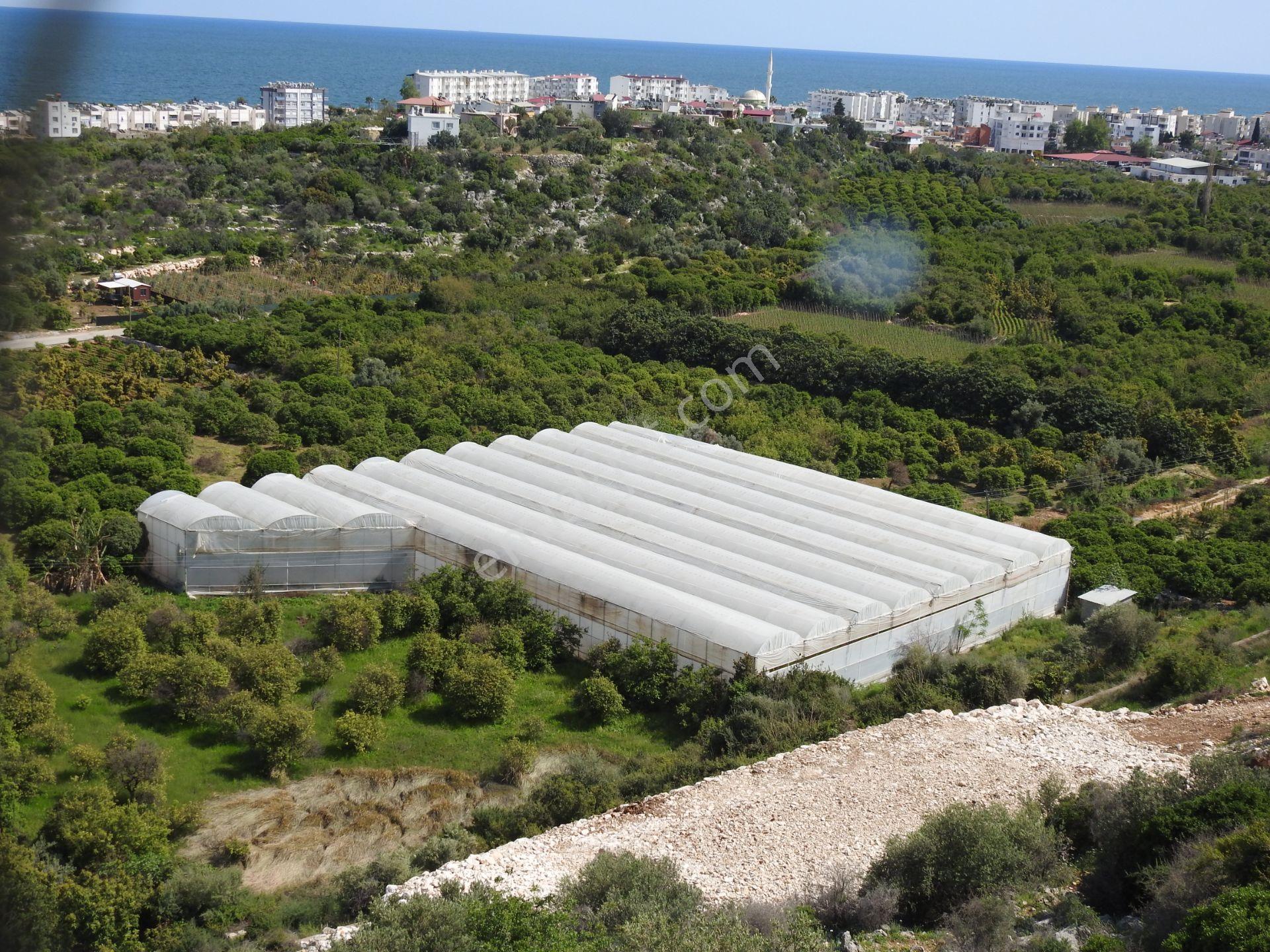 Kumkuyu Da Deniz Manzaralı İmarlı Satılık Arsa - Görsel 21