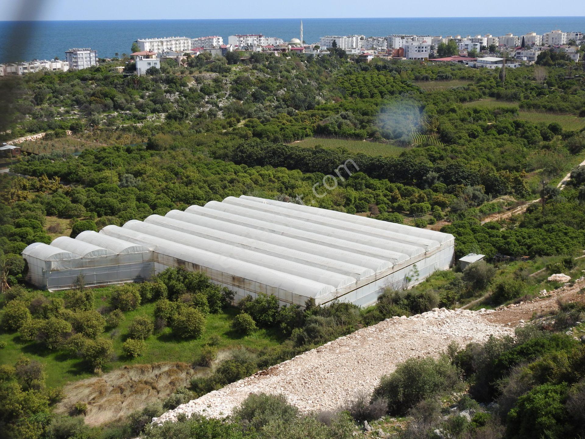 Kumkuyu Da Deniz Manzaralı İmarlı Satılık Arsa - Görsel 16