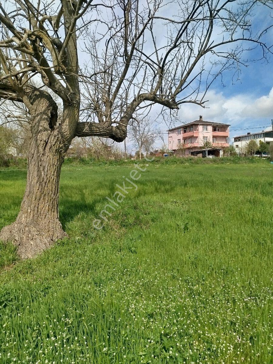 Tekirdağ/kapaklı/yanıkağıl Mah.satılık Arsa - Görsel 12