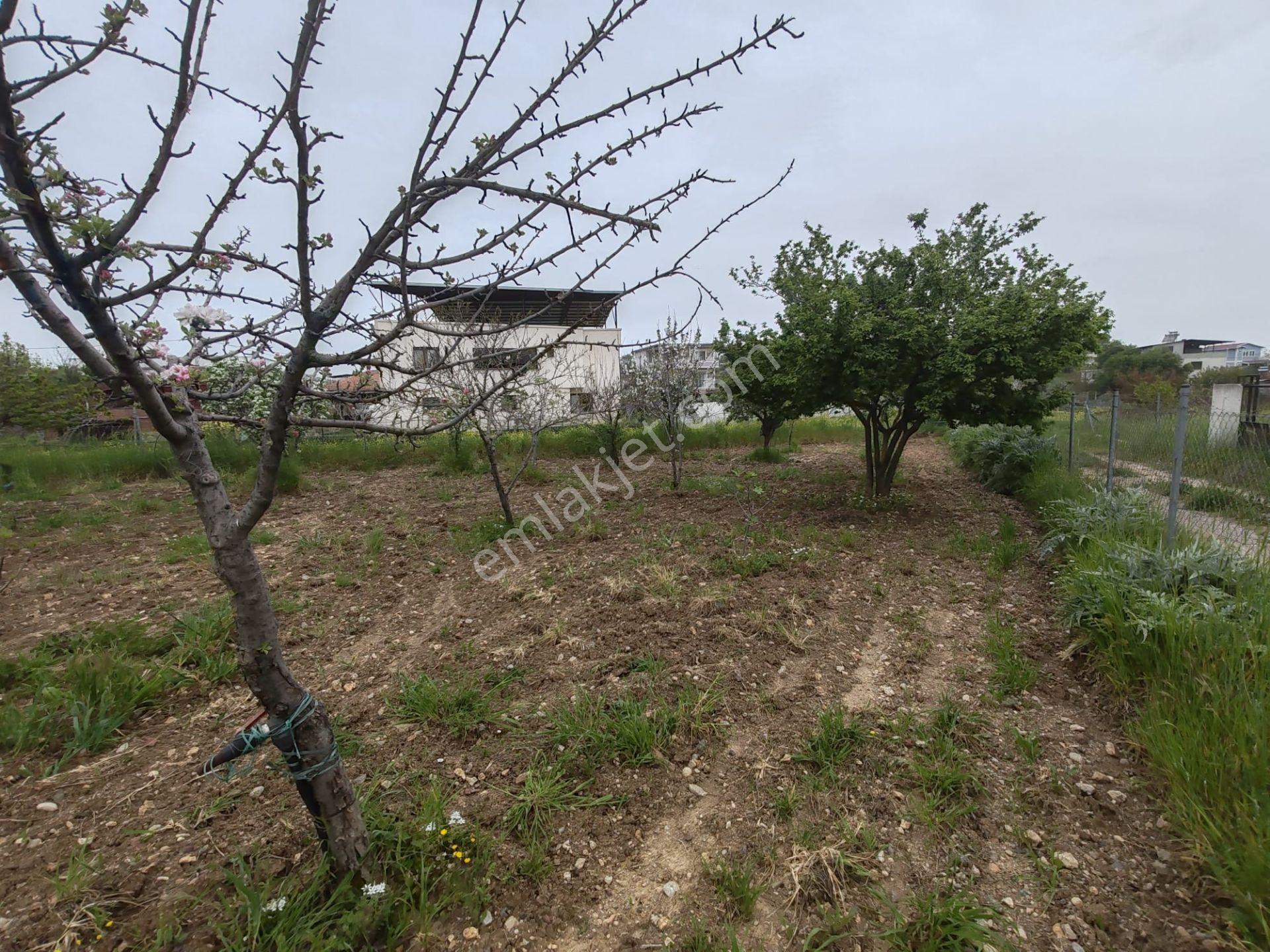 Buca Belenbaşı Mahallesi Merkezde 585 M2 Satılık Arsa - Görsel 5