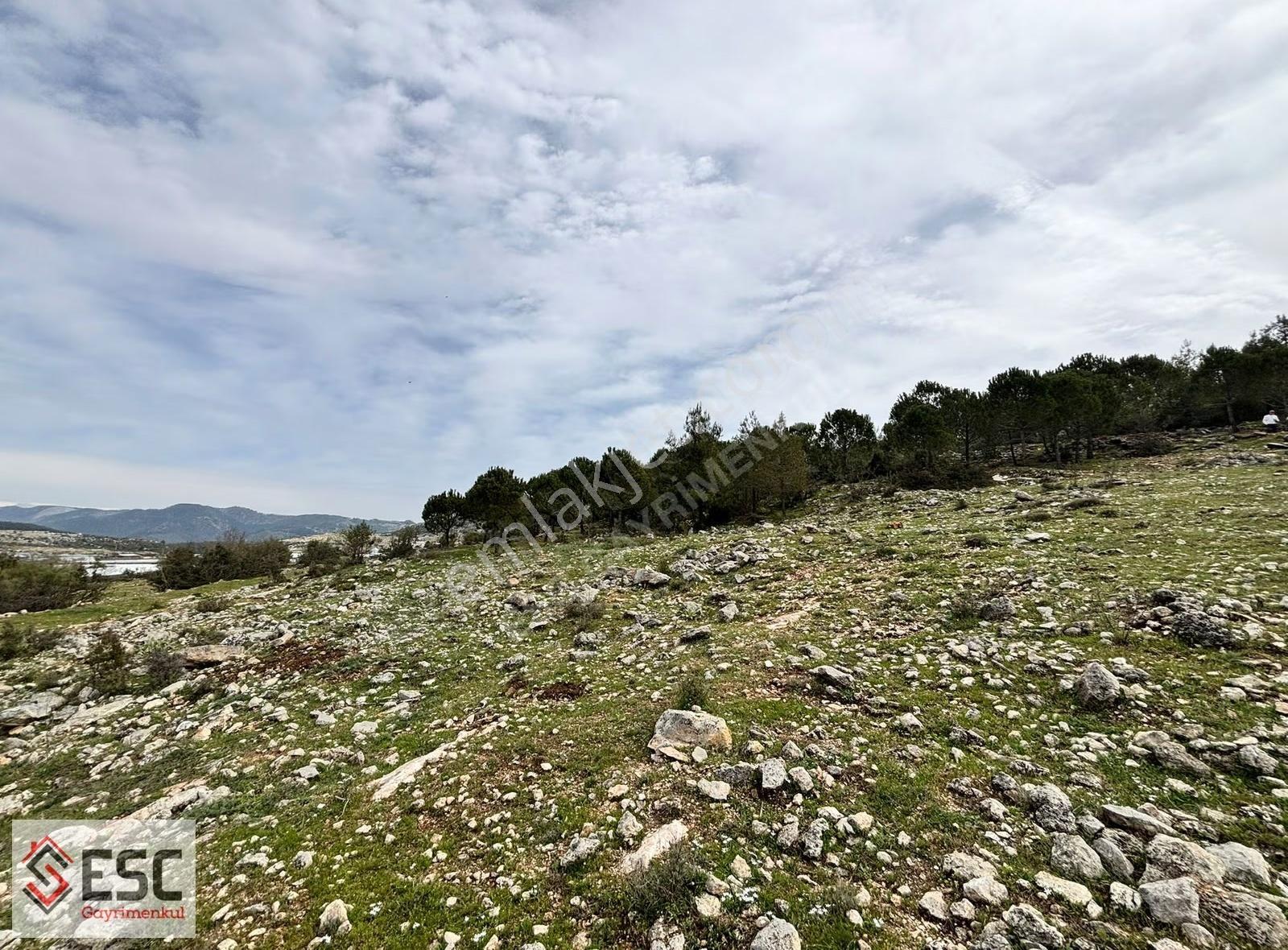 Esc'den Akarca'da 23.666 M² Satılık Arsa Esc2497 - Görsel 5