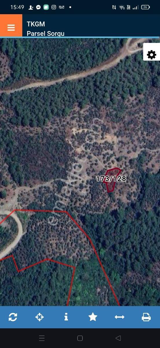Yatırımlık Satılık Zeytinlik Müstakil Tapu 952 M2 Ulaşımı Kolay - Görsel 2
