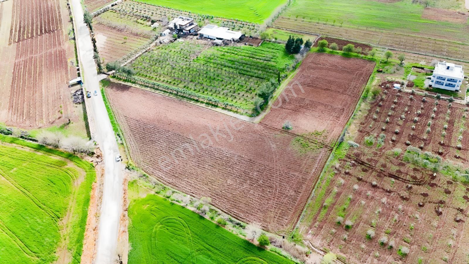 Hakevden Hasankendi Köyünde Satılık 12 Dönüm Tarla - Görsel 10