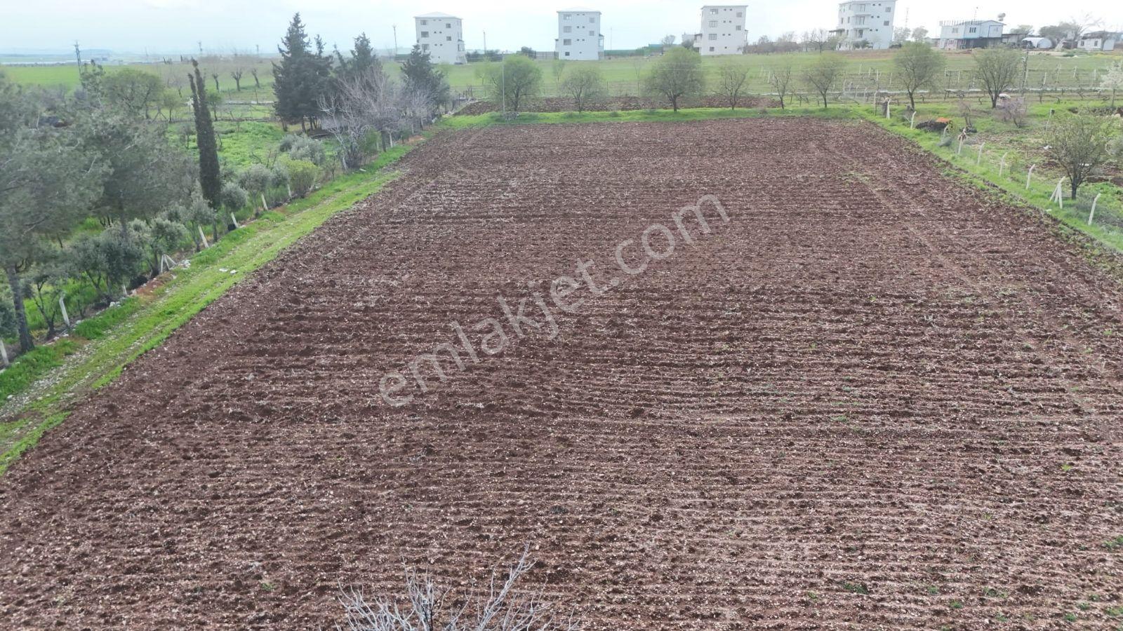 Hakevden Hasankendi Köyünde Satılık 12 Dönüm Tarla - Görsel 11