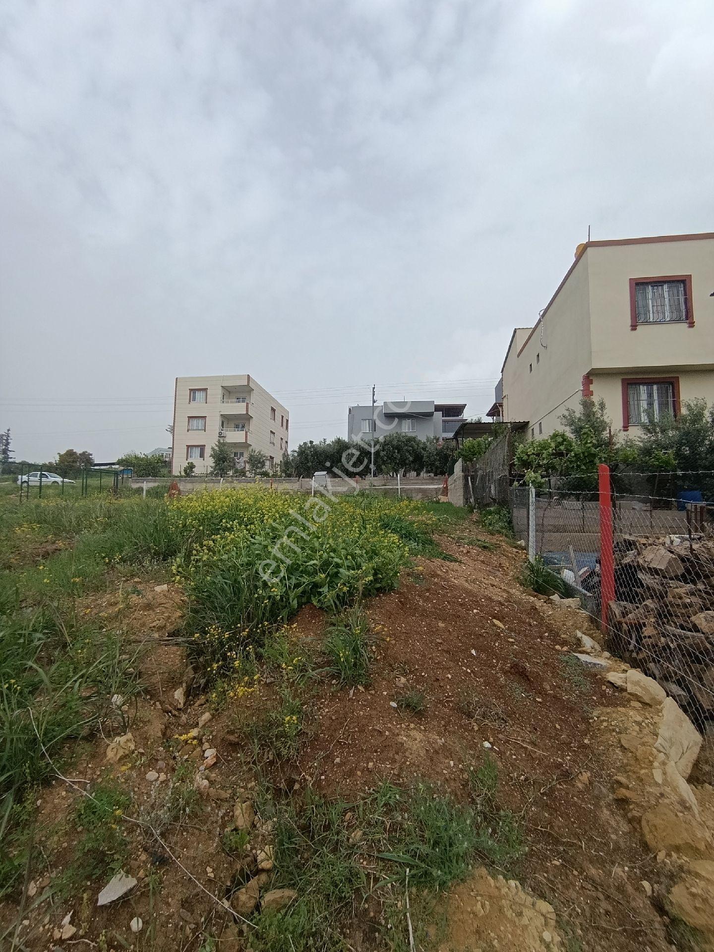 Sarıçam Boynuyogun Da Mustakil Ev Arsasi - Görsel 11