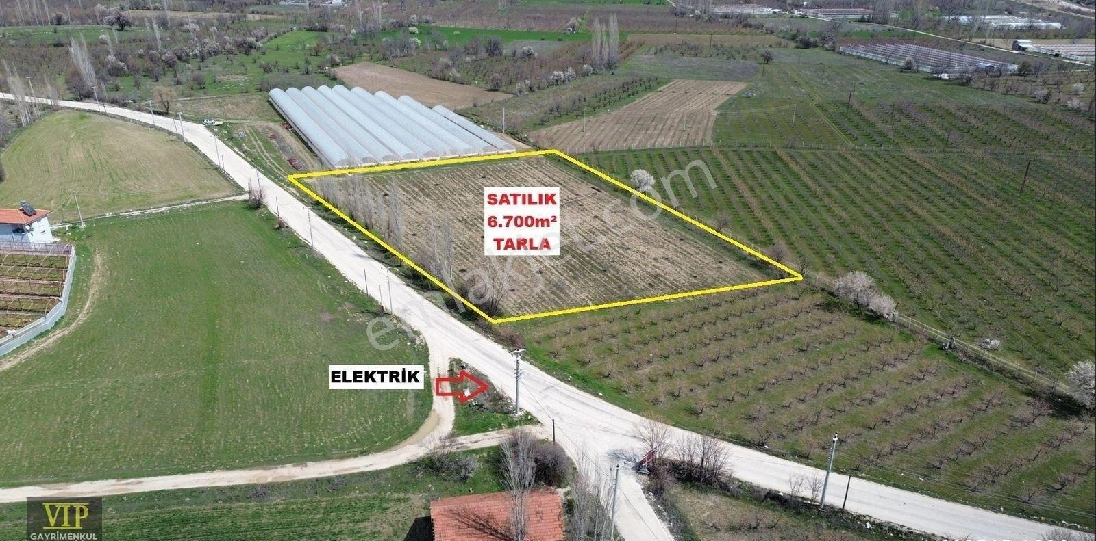 Vip Gayrimenkul'den Asfalt Yola Cepheli 6.700m² Tarla - Görsel 2