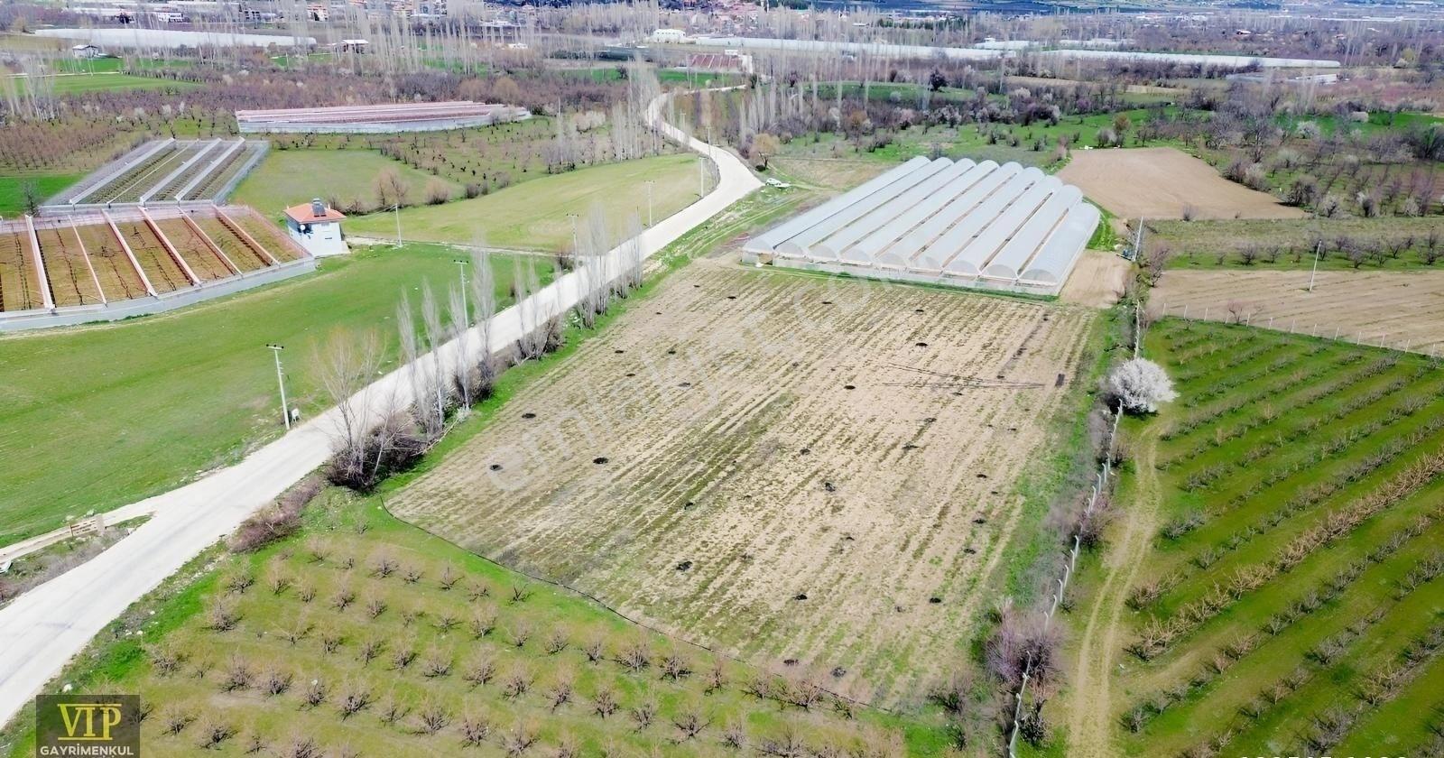 Vip Gayrimenkul'den Asfalt Yola Cepheli 6.700m² Tarla - Görsel 7