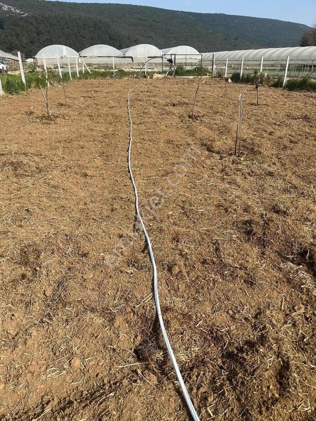 Menderes Çamönü 2.345 M2 Satılık Arazi - Görsel 4
