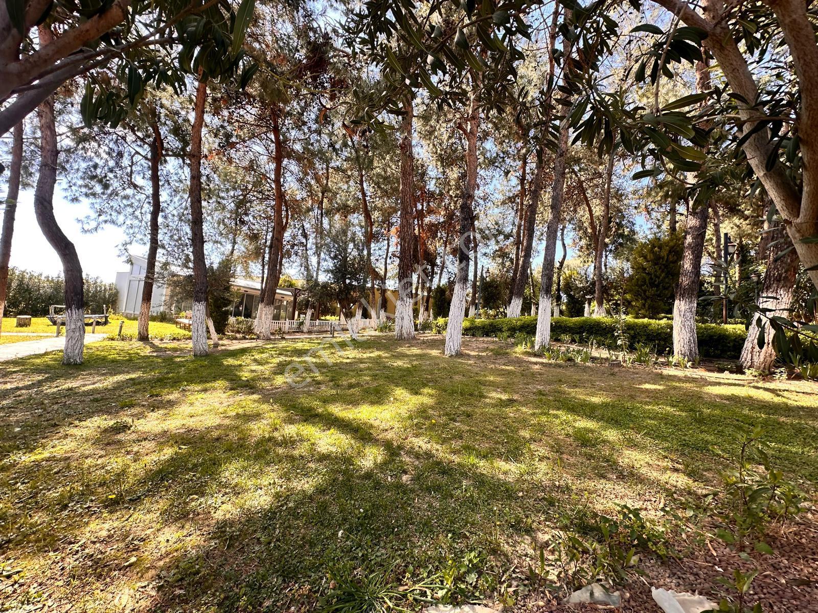 Kuşadası Soğucak Özel Havuzlu, Müstakil - Eşyalı/eşyasız Kiralık