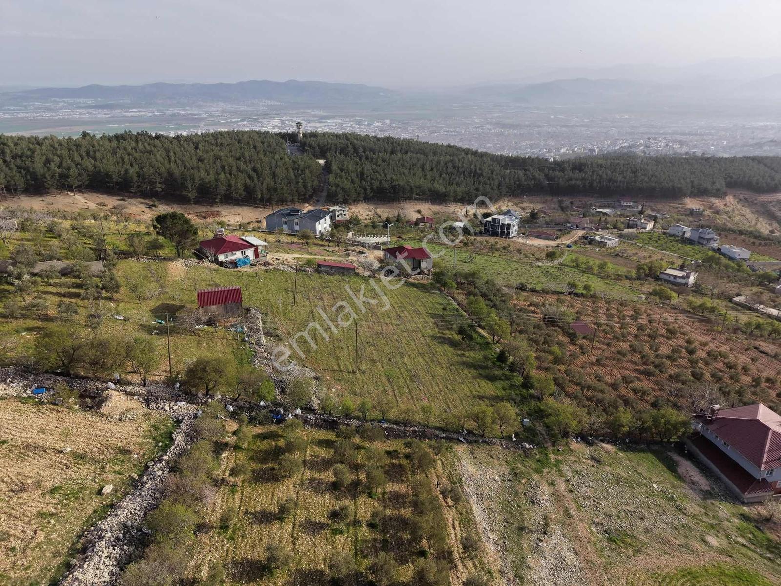 Dulkadiroğlu'nda Kaynak Sulu 3230 M² Satılık Bağ - Görsel 19