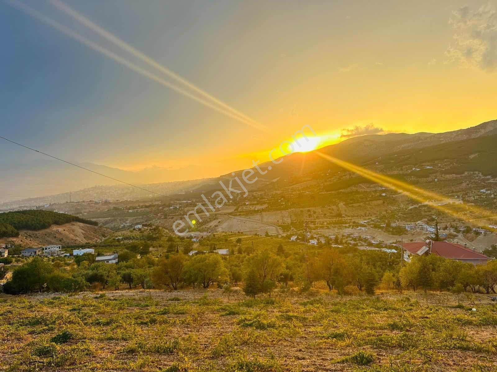 Dulkadiroğlu'nda Kaynak Sulu 3230 M² Satılık Bağ - Görsel 10