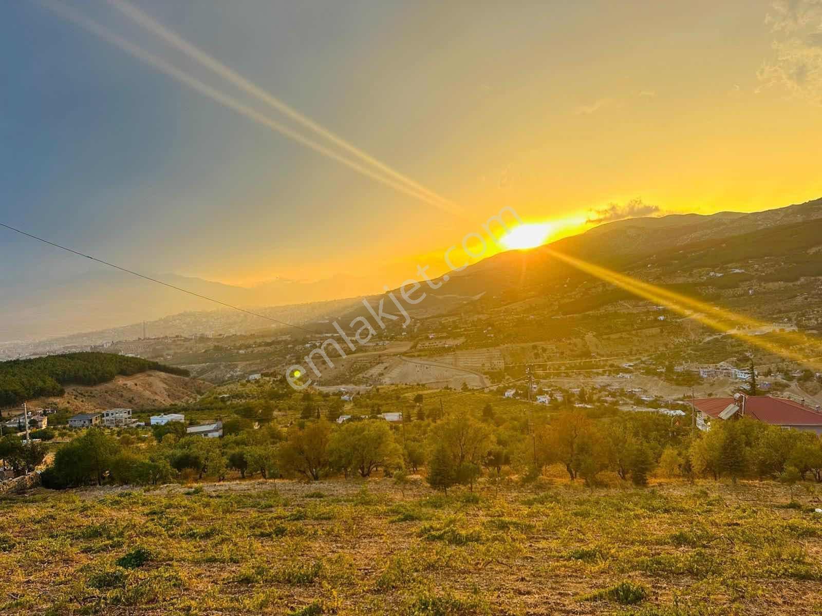 Dulkadiroğlu'nda Kaynak Sulu 3230 M² Satılık Bağ - Görsel 16