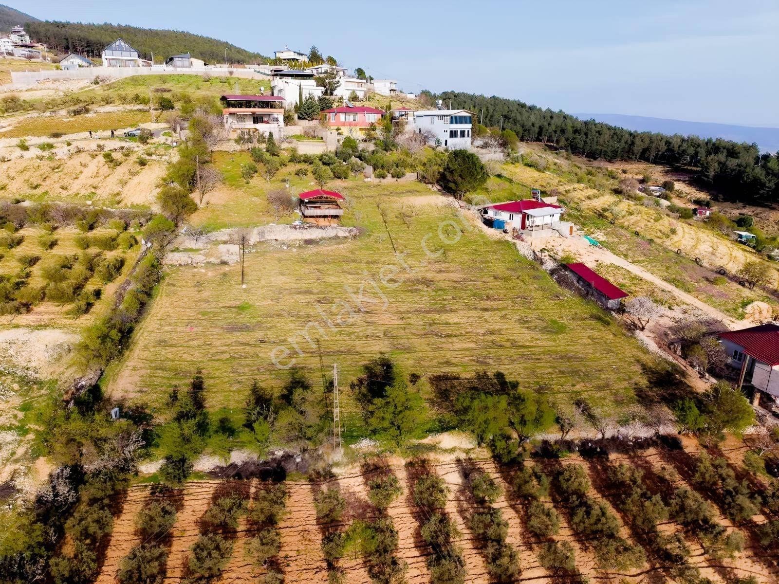 Dulkadiroğlu'nda Kaynak Sulu 3230 M² Satılık Bağ - Görsel 8