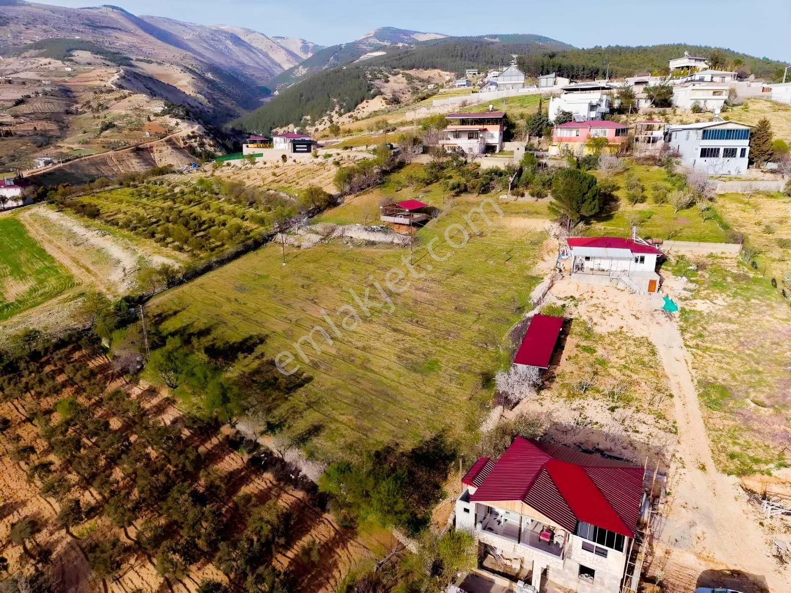 Dulkadiroğlu'nda Kaynak Sulu 3230 M² Satılık Bağ - Görsel 11